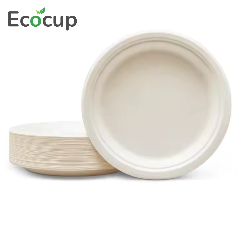 Đĩa Giấy Tròn 13cm